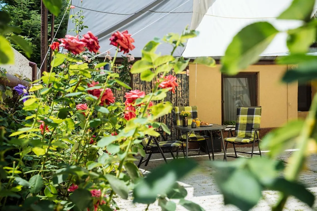 Lovely House And Courtyard In City Center 부쿠레슈티 루마니아